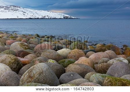 Beach with big round stones on the coast of the Barents Sea Arctic