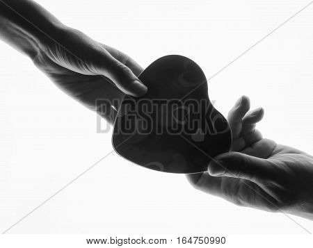 Silhouette hands. Present in man's and woman hands in the form of heart white background. Heart symbol with hand. Valentines day present. The man gives a woman a gift