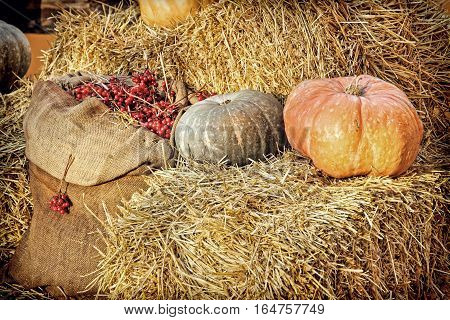 Thanksgiving Display of Pumpkin on hay bale and burlap sack with red berries.Retro style toned image.