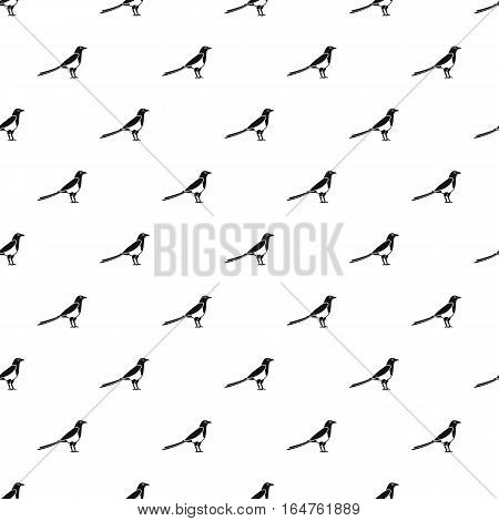 Magpie bird pattern. Simple illustration of vector pattern for web