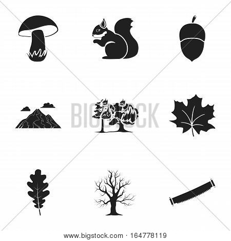 Forest set icons in black style. Big collection of forest vector symbol stock