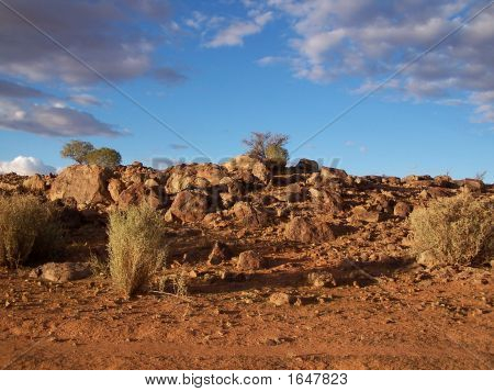 Rocce e arbusto