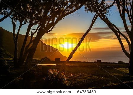 African trees at sunset in the Lookout Point rest area in Hout Bay from the famous and scenic Chapman's Peak Drive in Cape Town, South Africa.