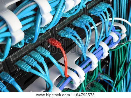 Server rack with blue and red internet patch cord cables connected to black patch panel in server room horizontal. Uniqueness concept