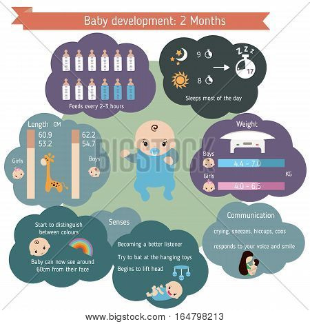 Child development infographics. Baby Growth Guide. Age 2 months.