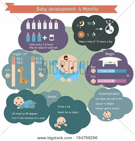 Child development infographics. Baby Growth Guide. Age 4 months.