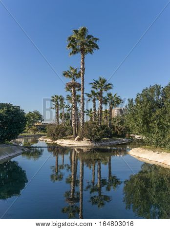 Gardens in the old dry riverbed of the Turia river - reflection of Palm trees in the artificial canal water. Europe, Valencia, Spain, Gigapan