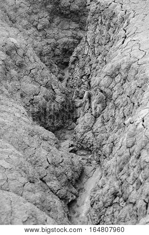 Black and white vertical close-up with dried ground Natural dry soil texture brown drought theme in rural arid area background for design.