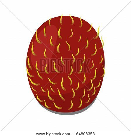 Rambutan tropical fruit. Exotic vitamin nutrition. Juicy ripe fruit in flat vector style. Natural organic rambutan.