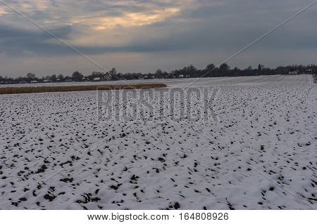 Winter landscape with tillage near Velyka Pavlivka village in Potavskaya oblast Ukraine