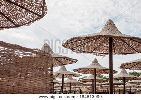 group of straw beach umrellas on the Red sea