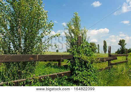 Country Timber Fence. Old wood fence with a green country field behind it. Wooden slit rail fence fades into the distance across a green field blue sky and white clouds above.