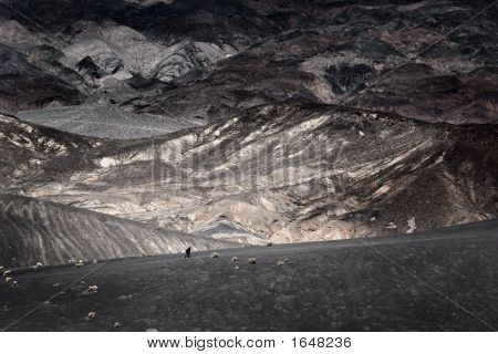 Walking On The Edge