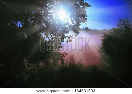 Fantastic foggy forest with a broken road in the sunlight. Sun beams through tree. Dramatic colorful scenery. Carpathian Mountains Mount Parashka. Ukraine Europe. Beauty world.