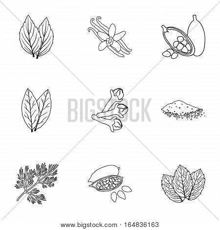 Herb and spices set icons in outline style. Big collection of herb and spices vector symbol stock