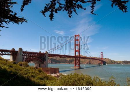 Most Golden Gate Bridge, lemovaná stromy
