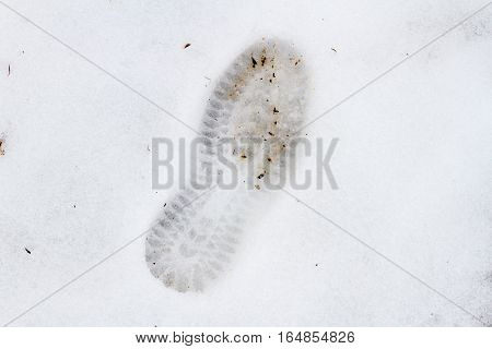 Winter Shoe Imprint In The Dirty Snow