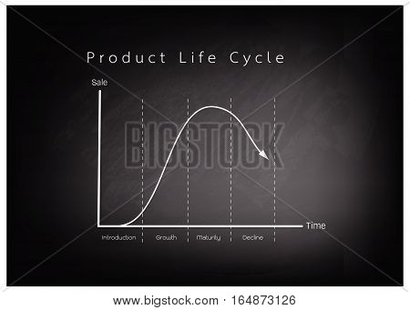 Business and Marketing Concepts 4 Stage of Product Life Cycle Chart on Black Chalkboard.
