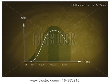 Business and Marketing Concepts 4 Stage of Product Life Cycle Chart on Green Chalkboard.