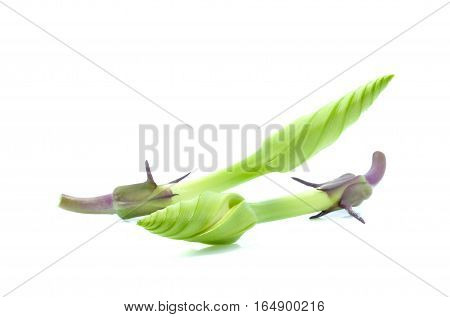 Moonflower organic vegetable isolated on white background.