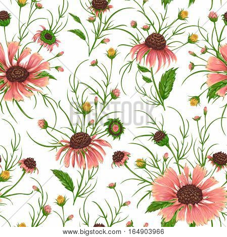 Seamless pattern with chamomile flowers. Rustic floral background. Vintage vector botanical illustration in watercolor style.