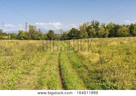Valassina (Lecco Lombardy Italy): landscape in september an overgrown path along the bicycle itinerary from Milan to Como lake