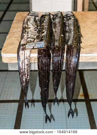 Funchal Madeira Portugal - December 10 2016: Black scabbard fish (espada in portuguese) in fish market of Funchal Madeira Portugal. Fish from Atlantic ocean.