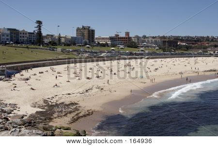 Bondi Beach