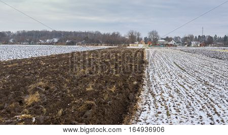 Late fall landscape with agricultural fields in the urban settlement Dikanka Ukraine