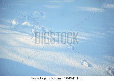 Snow angel in sunny day in park