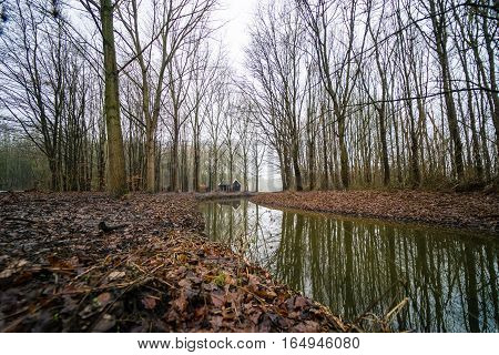 Reflections of a cabin in a Houtrak a small forest in Halfweg