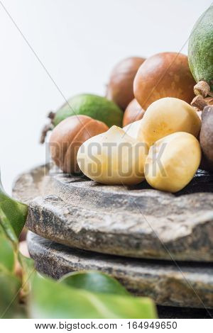 Macadamia in shell nuts harvest close up