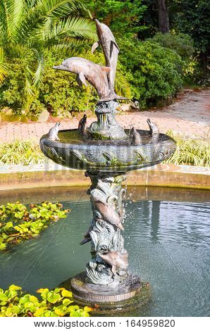 The picturesque fountain in the botanical garden. Georgia Batumi.