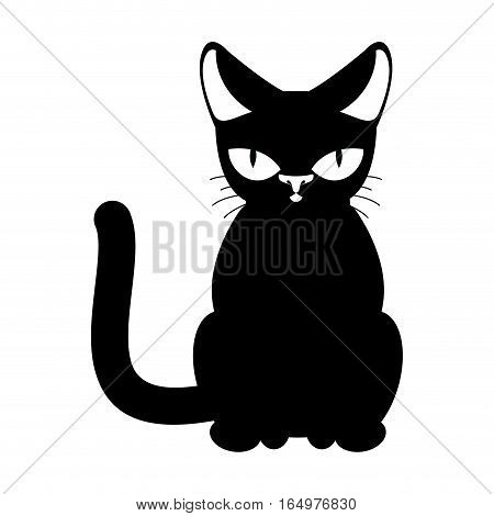Cat Black Isolated. Pet On White Background