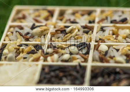Variety of healthy grains and seeds in a wooden box mostly gluten free with rice, Sensitive Focus