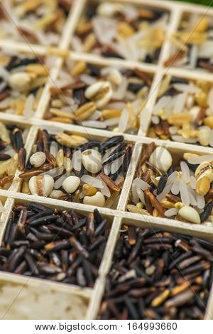 Variety of healthy grains and seeds in a wooden box mostly gluten free with rice, Sensitive Focus