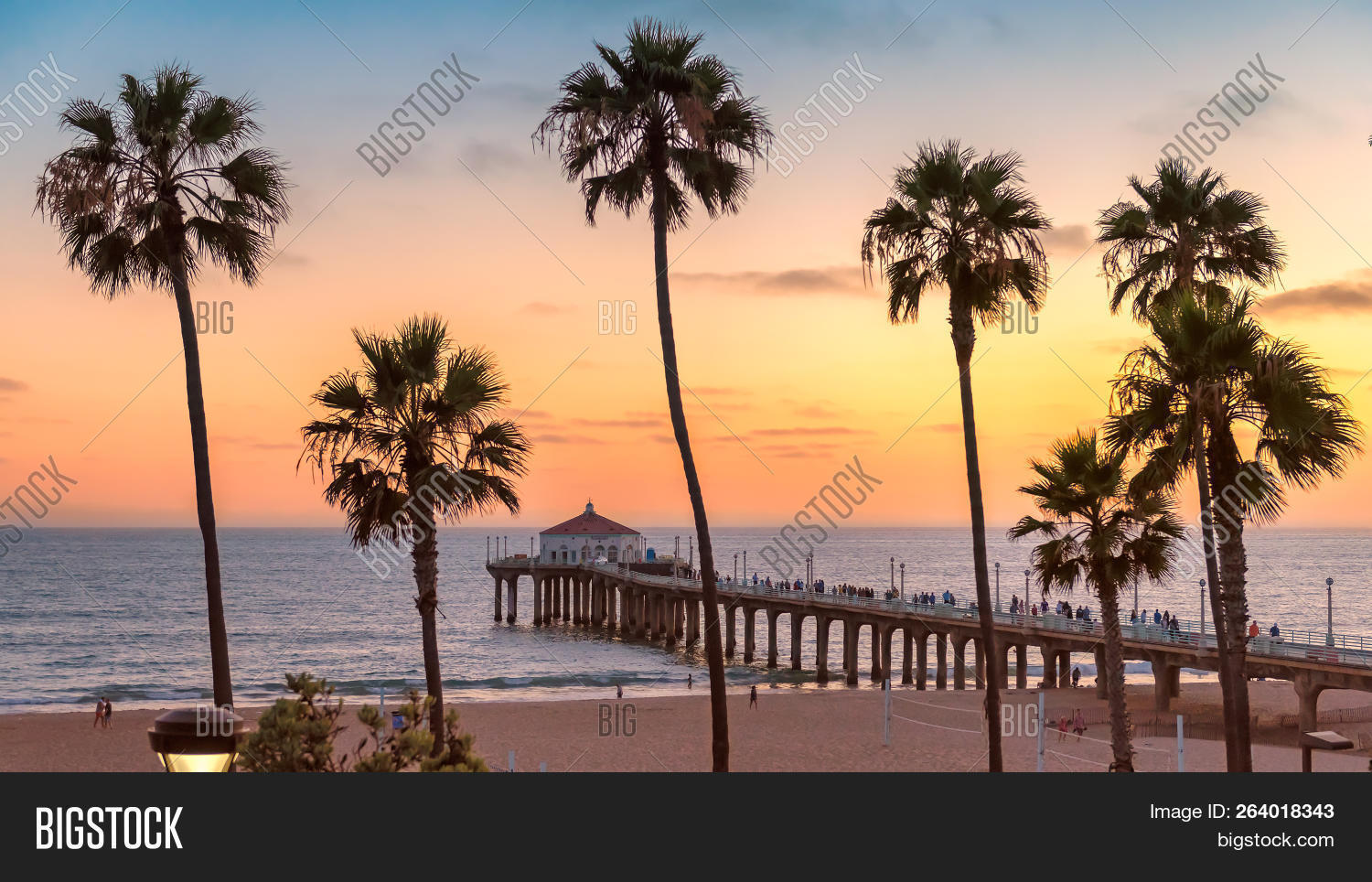 Palm Trees Pier On Image & Photo (Free Trial) Bigstock