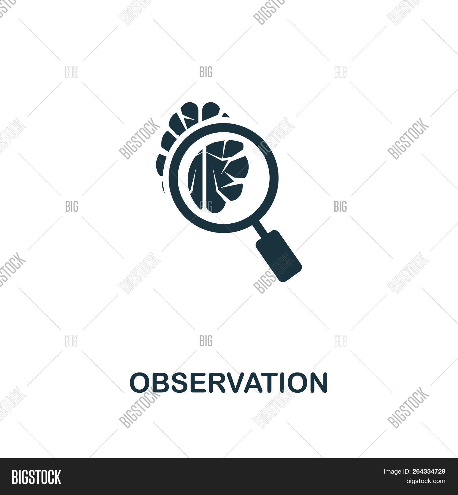 Observation Icon. Image & Photo (Free Trial) | Bigstock