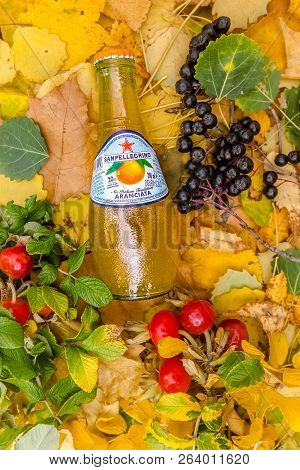 Saint-petersburg, Russia, 17102018 Sanpellegrino In A Glass Tin Bottle On Autumn Yellow Green Foliag