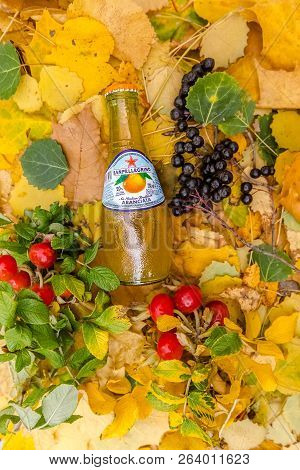 Saint-petersburg, Russia, 17102018 Sanpellegrino In A Glass Tin Bottle On Autumn Yellow Green Foliag