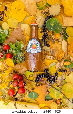 Saint-petersburg, Russia, 17102018 Sanpellegrino In A Glass Tin Bottle On Autumn Yellow Green Foliag