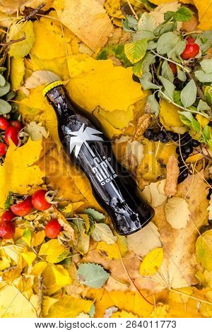 Saint-petersburg, Russia, 17 10 2018 Drink Afri Cola In A Glass Bottle On Autumn Yellow Green Foliag