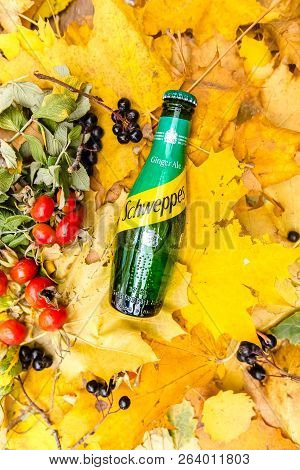 Saint-petersburg, Russia, 17102018 Drink Schweppes In A Glass Bottle On Autumn Yellow Green Foliage 
