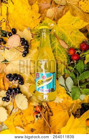 Saint-petersburg, Russia, 17102018 Drink Schweppes In A Glass Bottle On Autumn Yellow Green Foliage 
