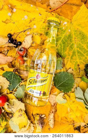 Saint-petersburg, Russia, 17102018 Drink Schweppes In A Glass Bottle On Autumn Yellow Green Foliage 