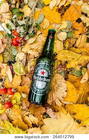 Saint-petersburg, Russia, 17102018 Beer Heineken In A Glass Bottle On Autumn Yellow Green Foliage Of