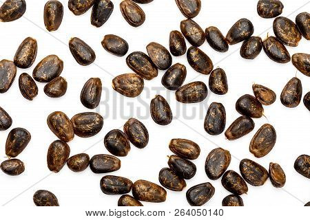 Chirimoya Nuggets (seeds). Texture On White Background