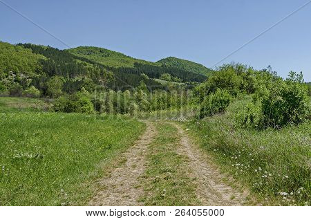 Springtime Green Forest, Glade And Valley Toward Plana Mountain With Path Near To Pasarel Village, B