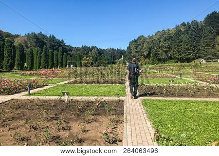 Kislovodsk, Russia - September 19, 2018: Visitors Walk In Flower Garden Of Kislovodsk National Park.