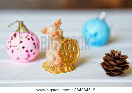 Money Pig - Oriental Symbol Of The Year 2109. Asian New Year.